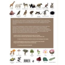 Атлас Земли. Животные, растения, грибы, бактерии, минералы и другие сокровища нашей планеты