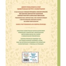 Лесные истории. Сказки и рассказы для детей (ил. М. Белоусовой)