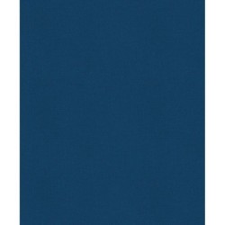 История России. 1304–1560 г.(2)