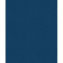 История России. 1304–1560 г.(2)