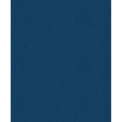 История России. 1560-1670 г. (3)