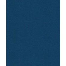 История России. 1670-1740 г. (4)