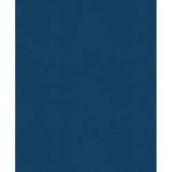 История России. 1740-1796 г. (5)