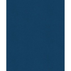 История России. 1796-1825 г. (6)