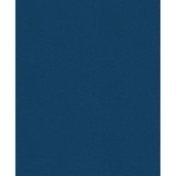 История России. Славяне до IX в. –1304 г. (1)