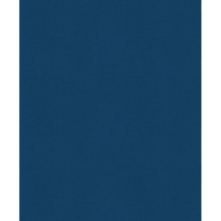 История России. Славяне до IX в. –1304 г. (1)