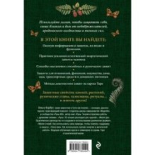 Магия защиты. Как уберечь себя и своих близких от злых сил и негативного колдовства