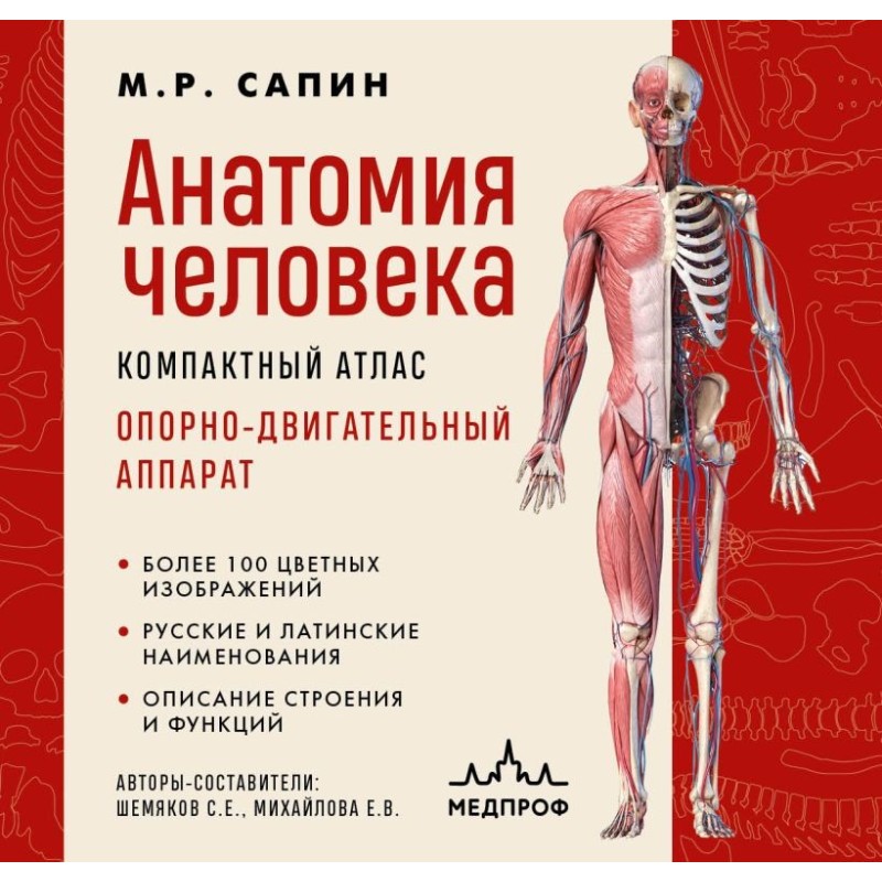 Анатомия человека. Компактный атлас. Опорно-двигательный аппарат