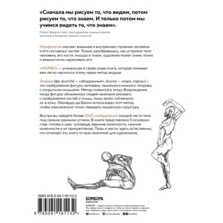 МОРФО. Анатомия для художников