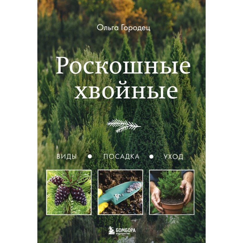 Роскошные хвойные. Виды, посадка, уход