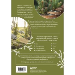 Роскошные хвойные. Виды, посадка, уход