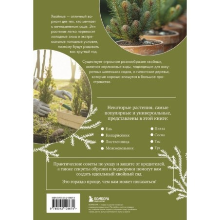 Роскошные хвойные. Виды, посадка, уход