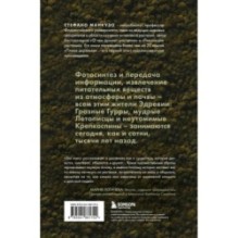 Племя деревьев. О чем говорят корни и кроны