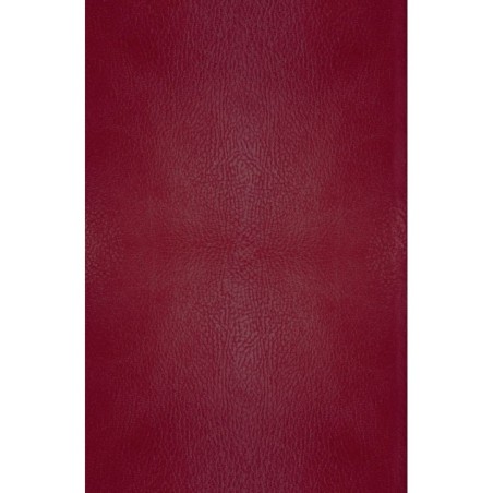 Хроники Нарнии. Начало истории