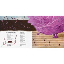 Чашка по-английски