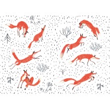 Хвост Авроры