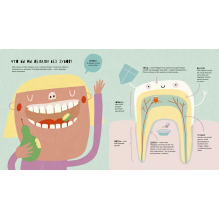 Тайная жизнь зубов