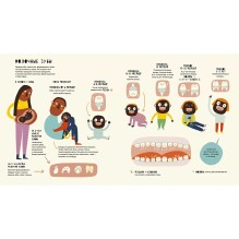 Тайная жизнь зубов