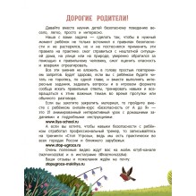 Безопасный мир дп