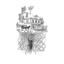 Сказки кота Мурлыки. Синяя книга