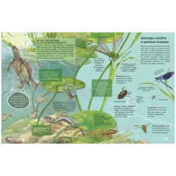 Секреты животных озера