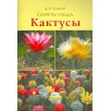 Кактусы