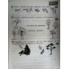 Комплексные работы по текстам. 2 класс. Рабочая тетрадь. В 2-х частях. Часть 1