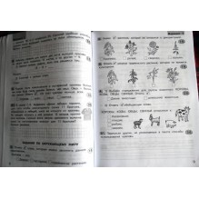 Комплексные работы по текстам. 2 класс. Рабочая тетрадь. В 2-х частях. Часть 2