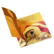 Книжки-картинки (мягкая обложка). С папой буря не страшна!