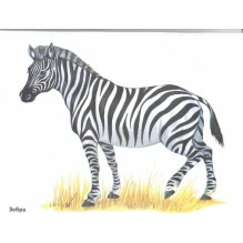 Животные жарких стран в картинках. Наглядное пособие для педагогов, логопедов, воспитателей