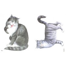 Домашние животные в картинках. Наглядное пособие для педагогов, воспитателей и родителей