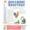 Домашние животные в картинках. Наглядное пособие для педагогов, воспитателей и родителей