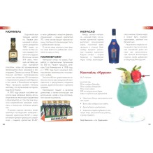 Кулинарная энциклопедия. Том 16 (уцененная)