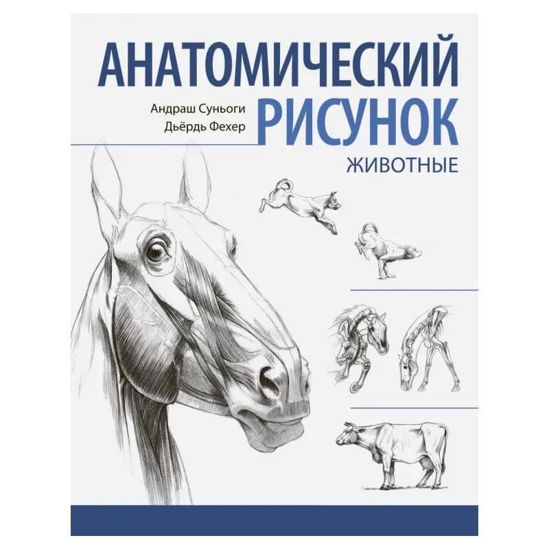 Анатомический рисунок. Животные