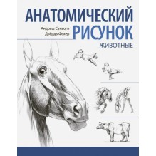 Анатомический рисунок. Животные