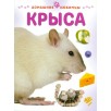 Крыса