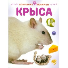 Крыса