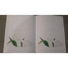 Рисуем двумя руками. Домашняя тетрадь