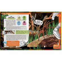 Насекомые. Живая энциклопедия