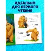 Книжки-картинки. Не обнимайте меня!