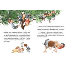 Волшебные камни Бааса