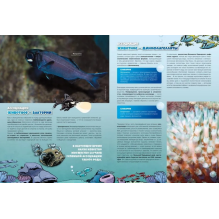 Морские животные. Том 6