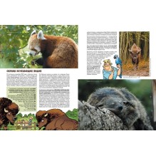 Зоопарк исчезнувших животных. Том 2