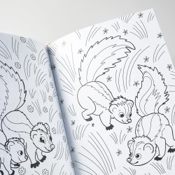 Я Скунс (книга с раскрасками)