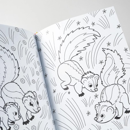 Я Скунс (книга с раскрасками)