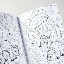 Я Скунс (книга с раскрасками)