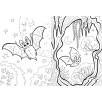 Я летучая мышь (книга с раскрасками)
