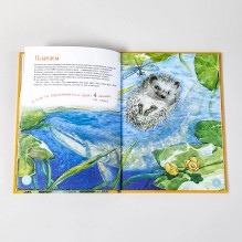 Я Ёж (книга с раскрасками)