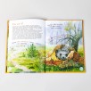 Я Ёж (книга с раскрасками) Я Ёж (книга с раскрасками)