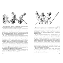 Путешествия: Николай Миклухо-Маклай